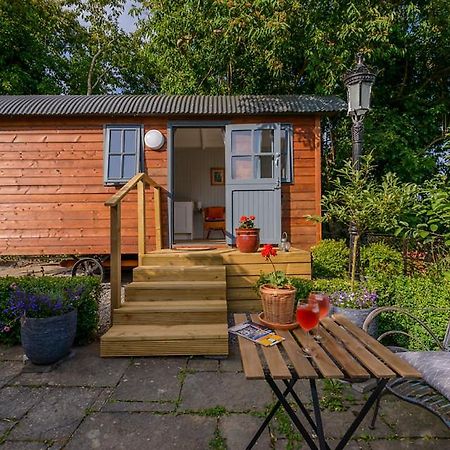 Hawthorn Hut Kilkenny Glamping At Jenkinstown House Otel Jenkinstown Park Dış mekan fotoğraf