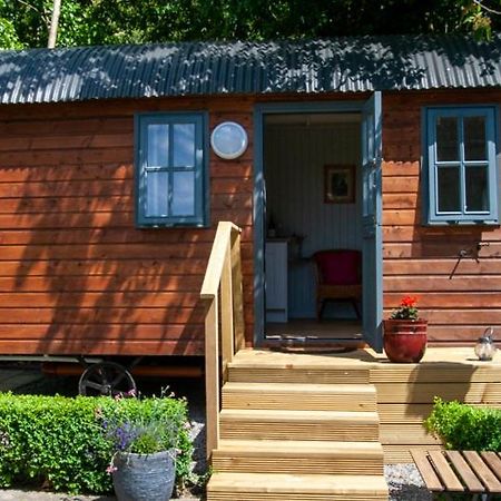 Hawthorn Hut Kilkenny Glamping At Jenkinstown House Otel Jenkinstown Park Dış mekan fotoğraf