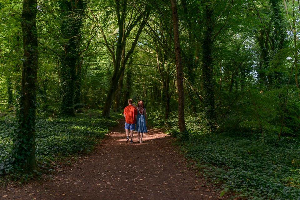 Hawthorn Hut Kilkenny Glamping At Jenkinstown House Otel Jenkinstown Park Dış mekan fotoğraf